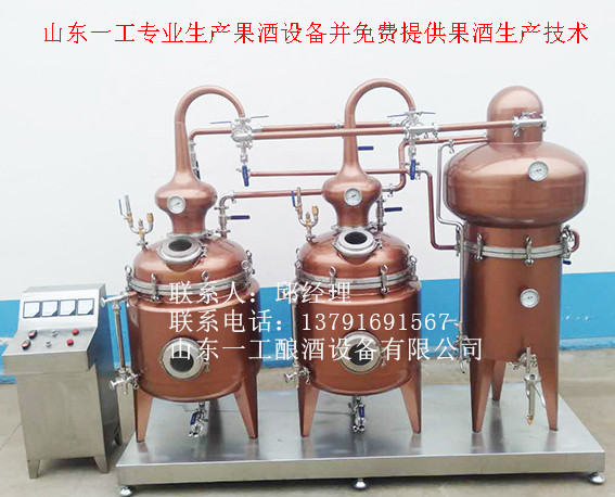 果脯液去硫技術(shù) 果脯汁去硫技術(shù)圖片
