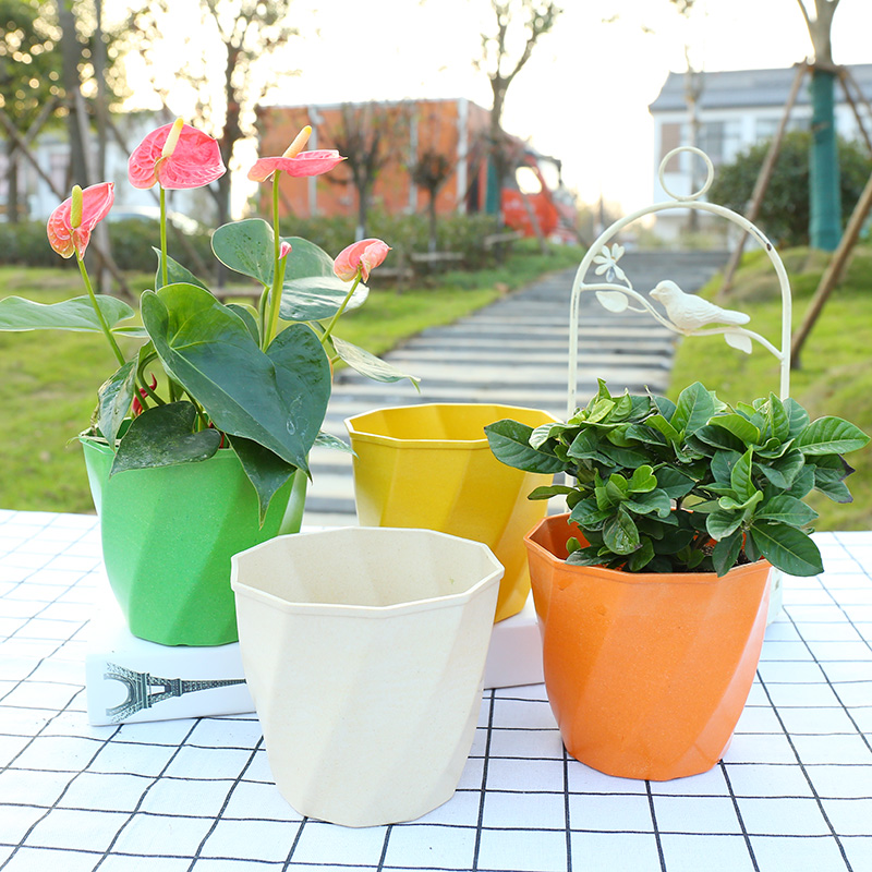 矮胖圓型JY-10圖片/矮胖圓型JY-10樣板圖 (2)