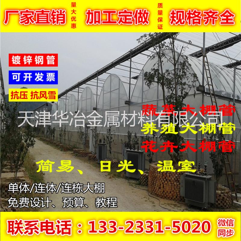 天津市蔬菜大棚 建造一亩大棚造价多少厂家蔬菜大棚 建造一亩大棚造价多少 热镀锌大棚 温室大棚骨架 连栋大棚 玻璃大棚 薄膜温室