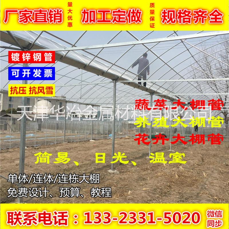 鍍鋅鋼管 鍍鋅橢圓管 20*50圖片/鍍鋅鋼管 鍍鋅橢圓管 20*50樣板圖 (2)