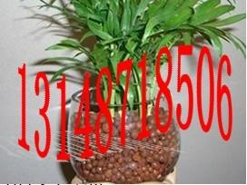 廣西陶粒質(zhì)量保證圖片