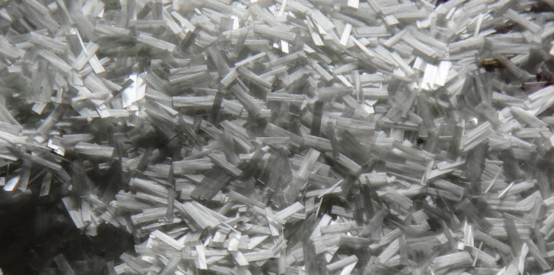 廣東省廣州市圖片/廣東省廣州市樣板圖 (2)