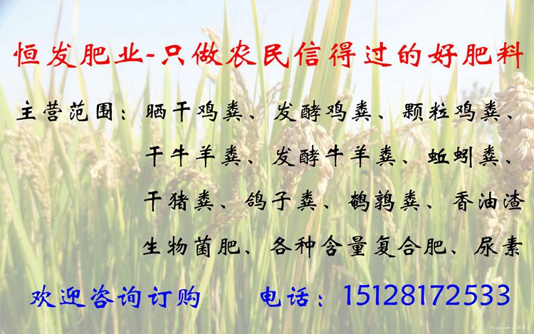 干雞糞塊有機(jī)肥圖片/干雞糞塊有機(jī)肥樣板圖 (4)