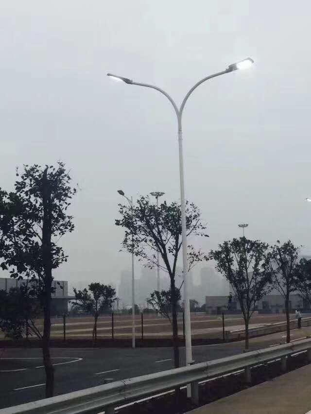 北京路燈廠供應(yīng)河北太陽能路燈工程圖片