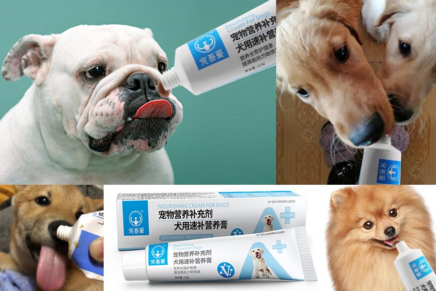 宠吾爱犬用速效营养膏    120g