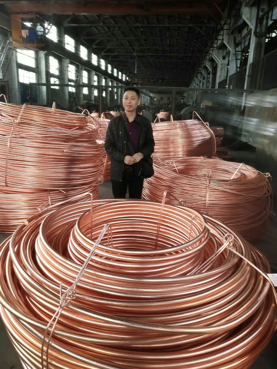 廠家熱銷汽車電池引出端子C100紅銅鉚料線  T2紫銅線