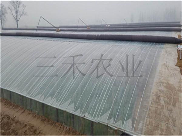 節(jié)能日光溫室圖片/節(jié)能日光溫室樣板圖 (1)