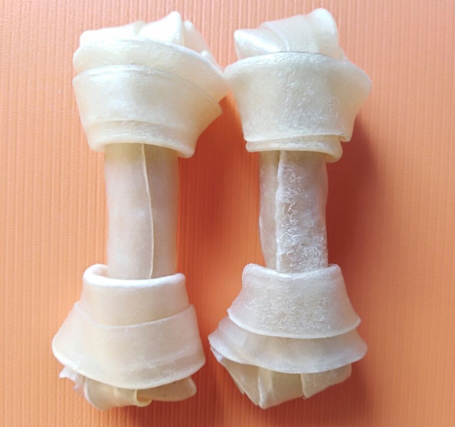 寵物用品圖片/寵物用品樣板圖 (2)