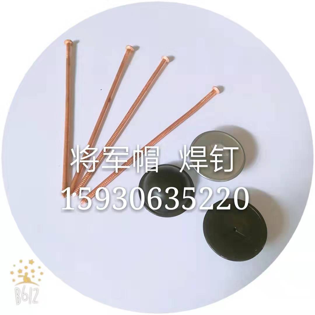 電廠鉤釘圖片/電廠鉤釘樣板圖 (2)