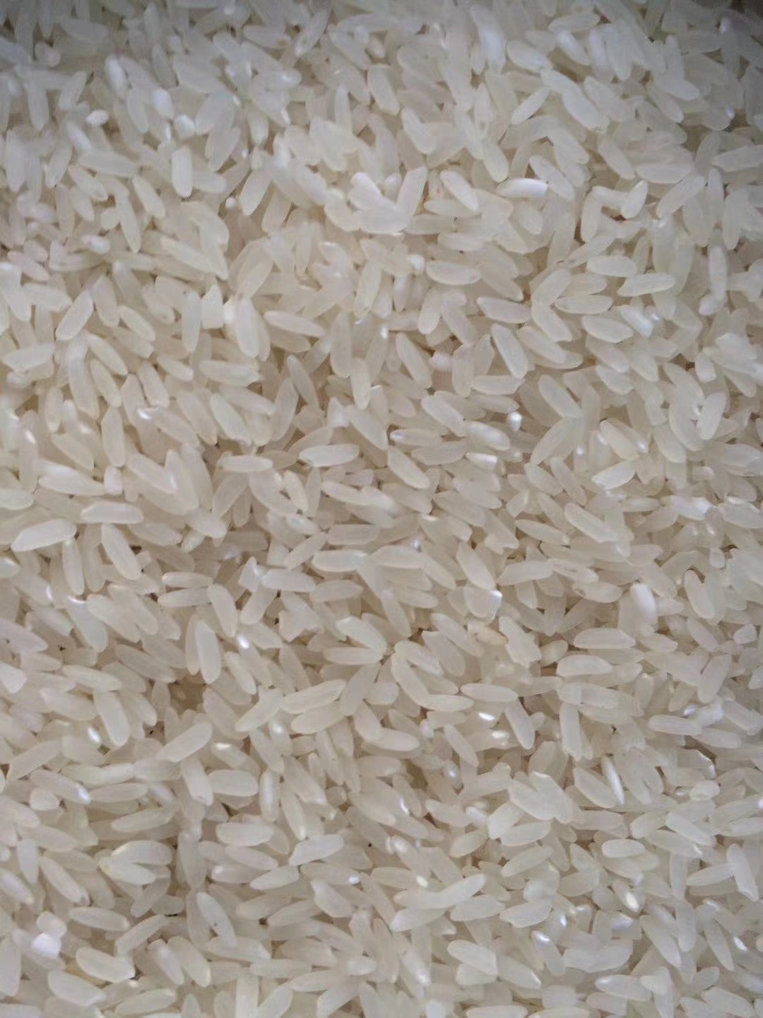 碾米機(jī)圖片/碾米機(jī)樣板圖 (4)