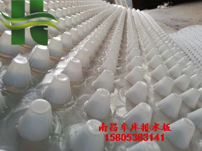 綠化排水板圖片/綠化排水板樣板圖 (4)