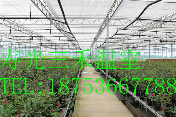 冬暖式塑料大棚圖片