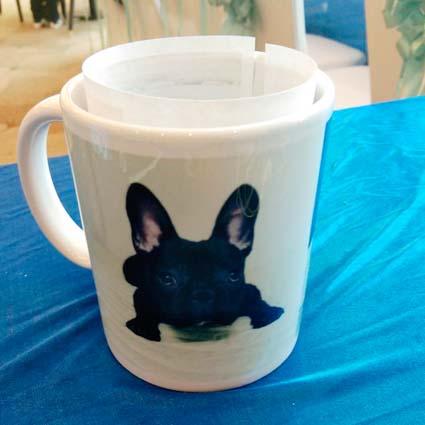 海洋球池出租圖片