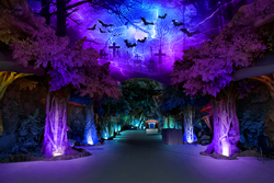 燈光秀制作公司圖片