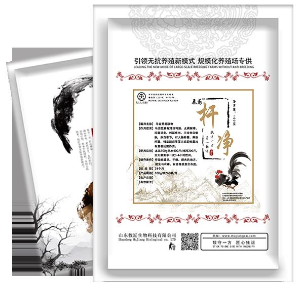 鴨脾壞死藥什么好藥，桿凈圖片/鴨脾壞死藥什么好藥，桿凈樣板圖 (2)