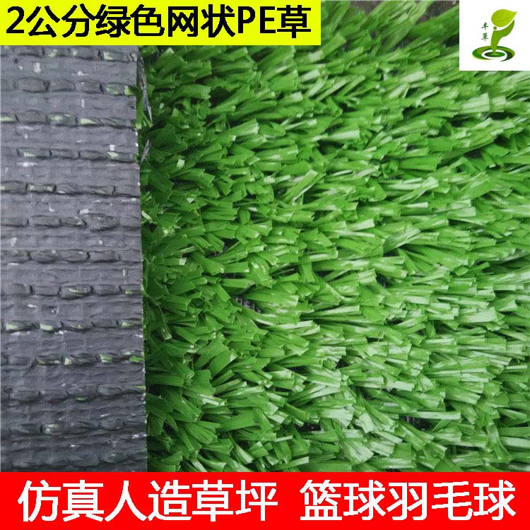 廣州羽毛球網(wǎng)絲人工草圖片/廣州羽毛球網(wǎng)絲人工草樣板圖 (4)