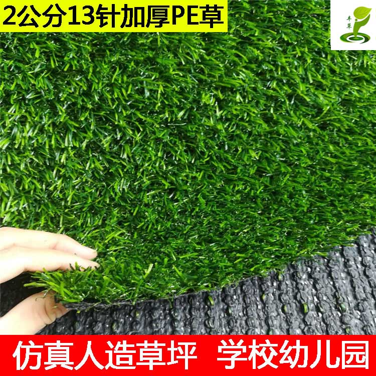 綠化草圖片/綠化草樣板圖 (4)