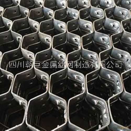 耐高溫龜甲網(wǎng)圖片/耐高溫龜甲網(wǎng)樣板圖 (3)