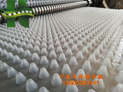 車庫頂板排水板圖片/車庫頂板排水板樣板圖 (3)