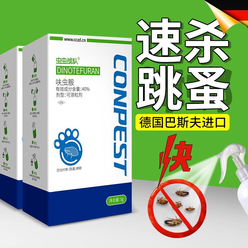 跳蚤圖片/跳蚤樣板圖 (1)