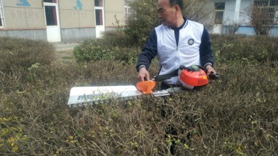 單人采茶機廠家*質(zhì)量可靠