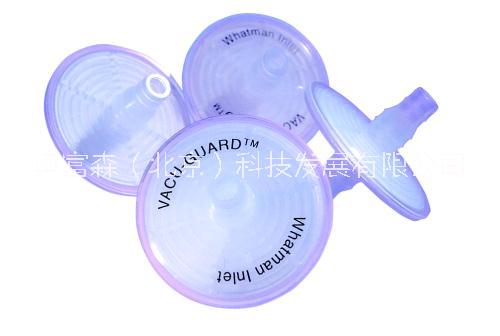 真空泵保護濾器圖片