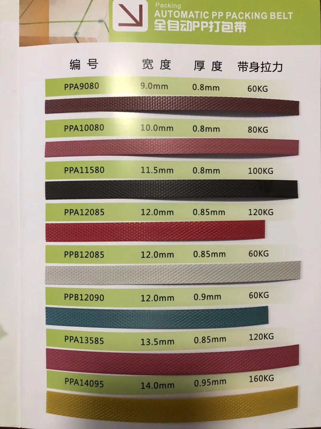 绿色环保打包带图片/绿色环保打包带样板图 (2)