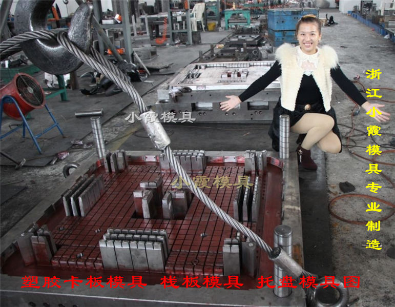注射模具圖片/注射模具樣板圖 (3)