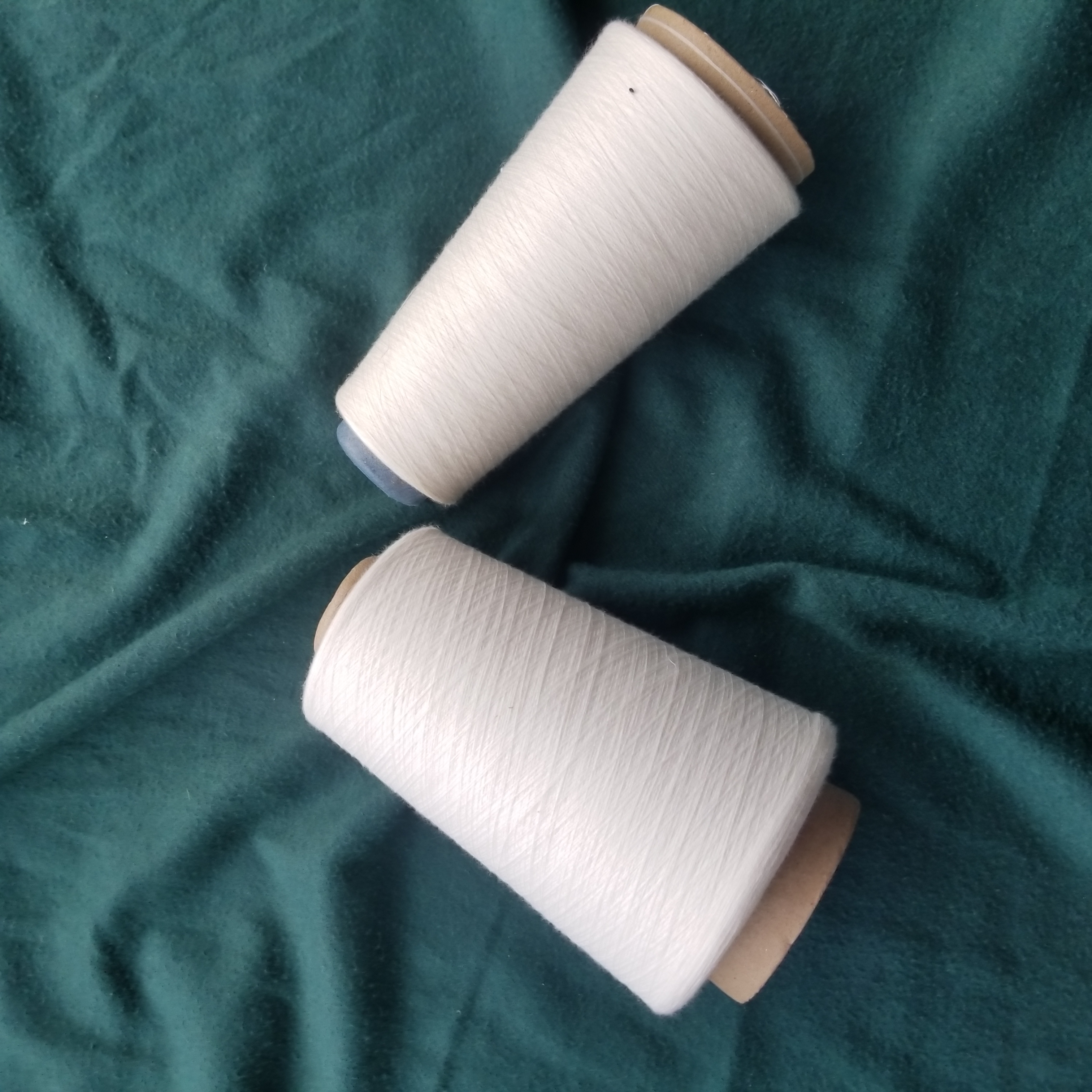 絲光棉紗圖片/絲光棉紗樣板圖 (1)