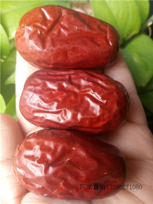 新疆紅和田玉棗圖片/新疆紅和田玉棗樣板圖 (2)