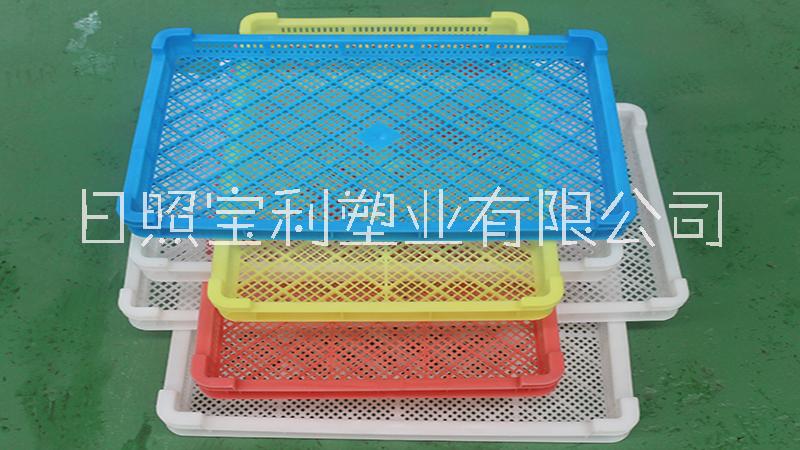塑料單凍器烘干盤烘盤晾曬盤筐冷凍圖片/塑料單凍器烘干盤烘盤晾曬盤筐冷凍樣板圖 (2)
