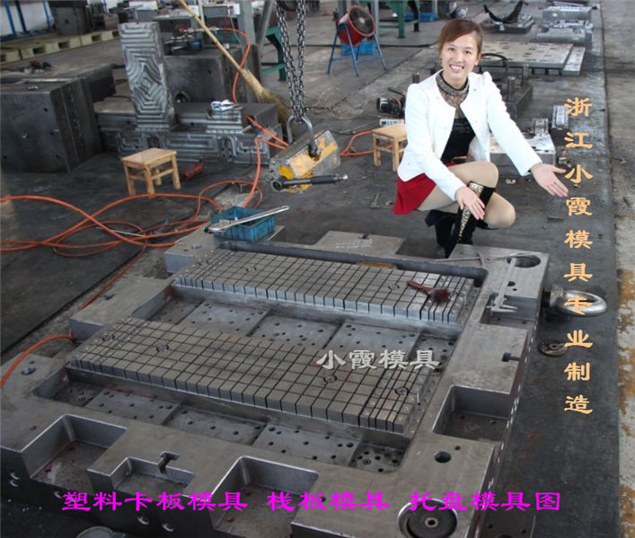 超強(qiáng)載重PP地板模具源頭工廠圖片/超強(qiáng)載重PP地板模具源頭工廠樣板圖 (4)