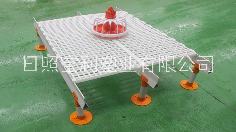 雞鴨用漏糞板鴿舍漏糞地板育雛小雞圖片