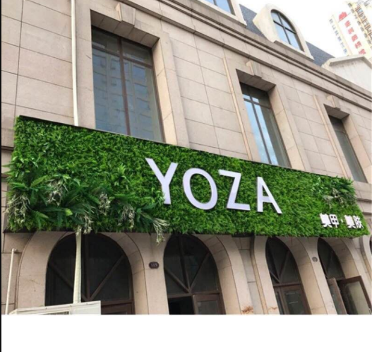 定制綠植招牌圖片/定制綠植招牌樣板圖 (2)