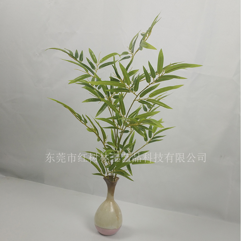 小盆景圖片/小盆景樣板圖 (1)