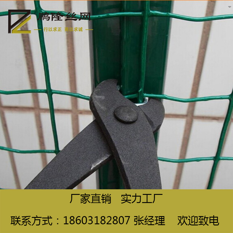 養(yǎng)雞鐵絲網(wǎng)圖片/養(yǎng)雞鐵絲網(wǎng)樣板圖 (3)