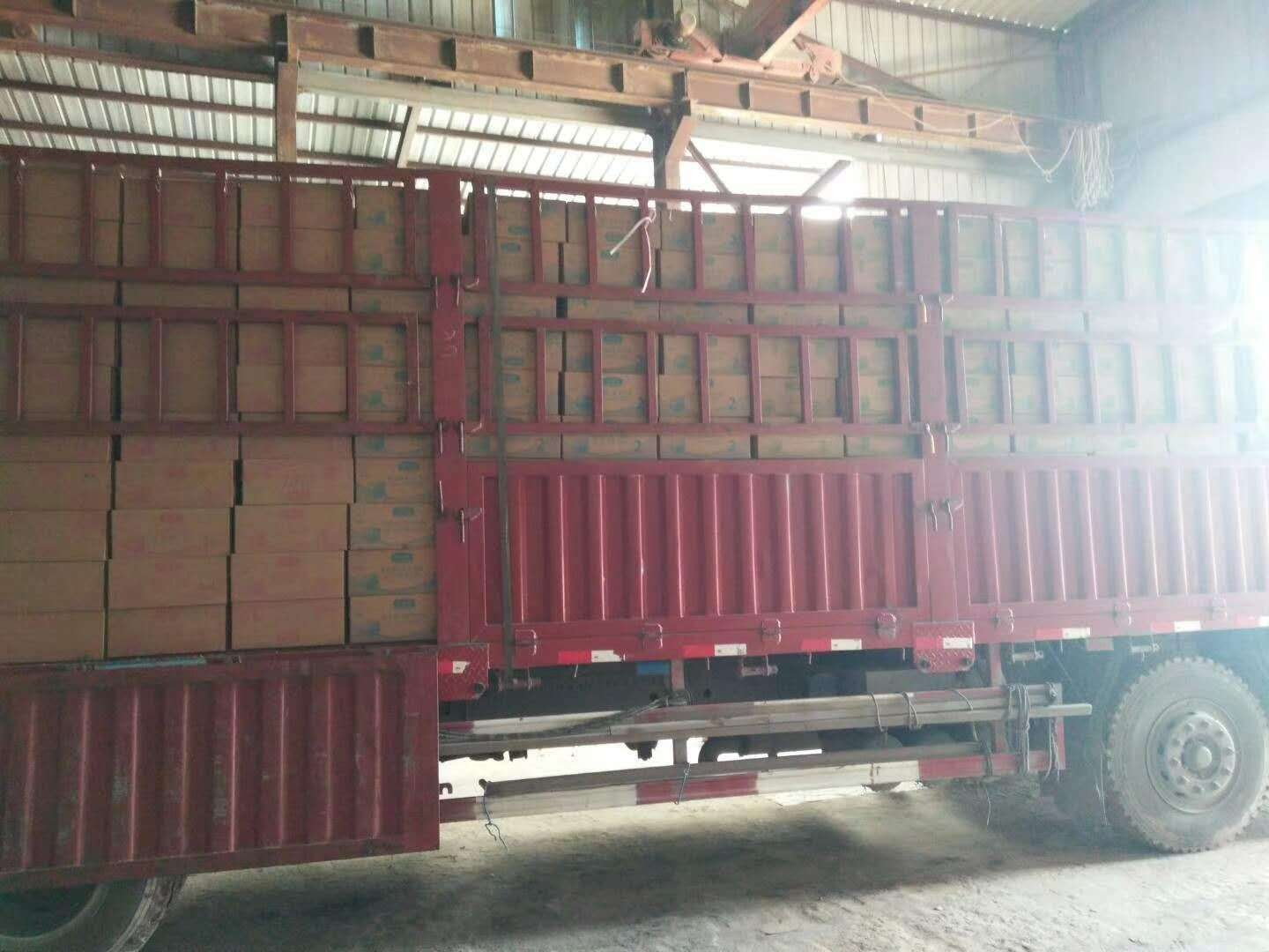 伊利奶粉圖片/伊利奶粉樣板圖 (4)