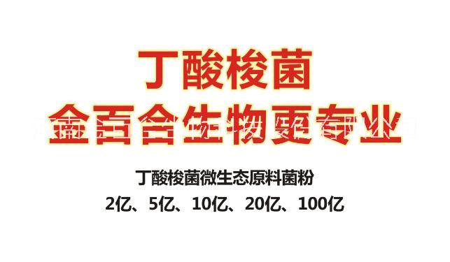 丁酸圖片/丁酸樣板圖 (1)