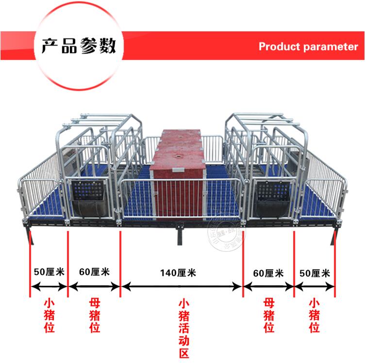 母猪产床母猪分娩床双体母猪产床厂家直销猪用分娩床国标热镀锌产床价格图片