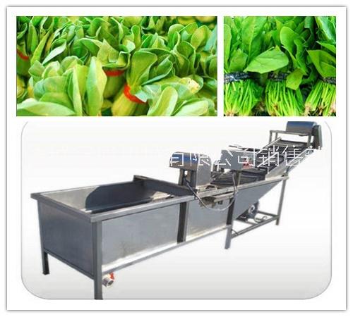 冠通機械蔬菜清洗流水線 凈菜加工設備廠家*