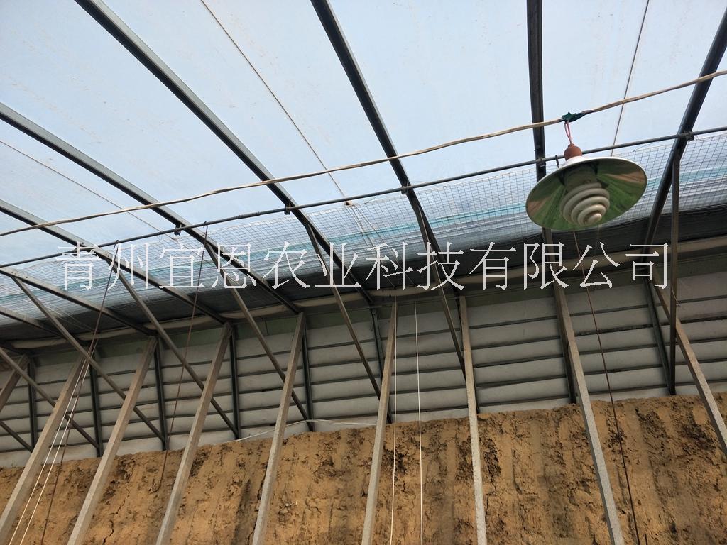 日光溫室圖片/日光溫室樣板圖 (2)