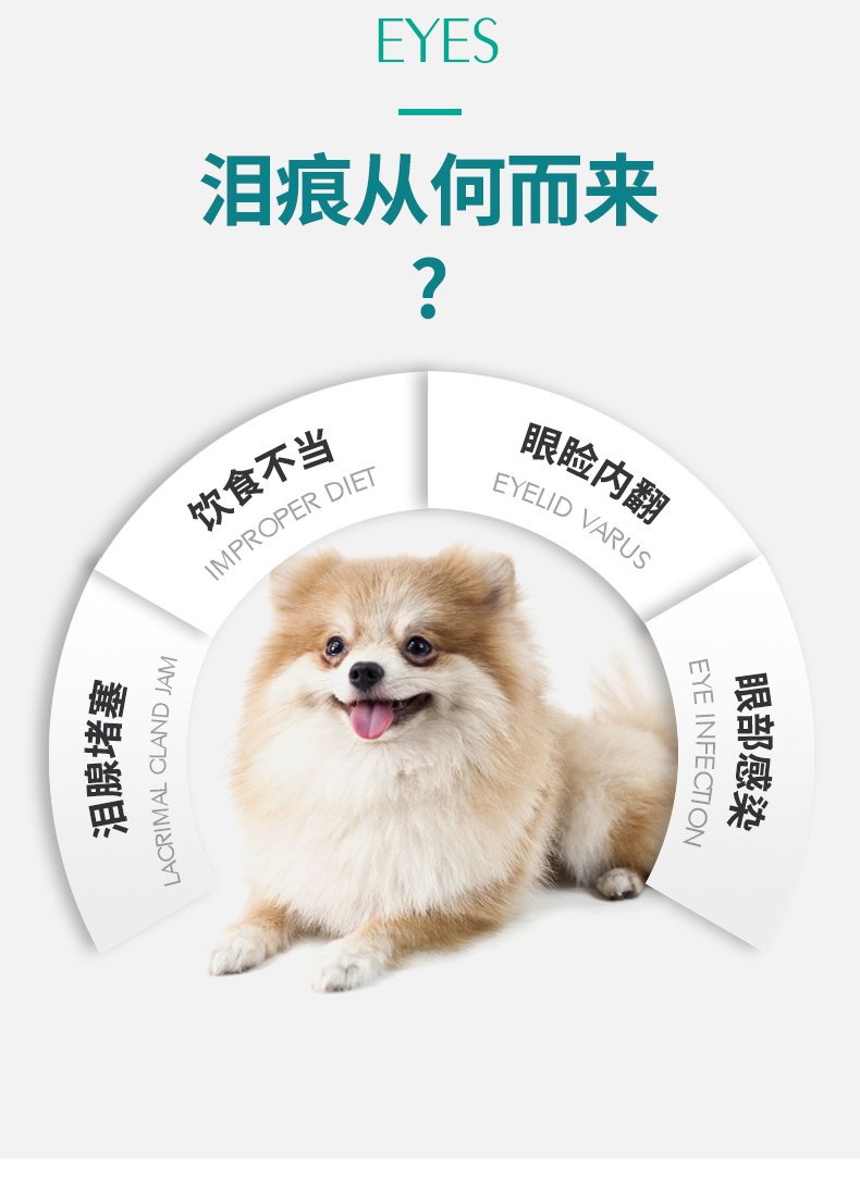 寵物淚痕消圖片/寵物淚痕消樣板圖 (3)