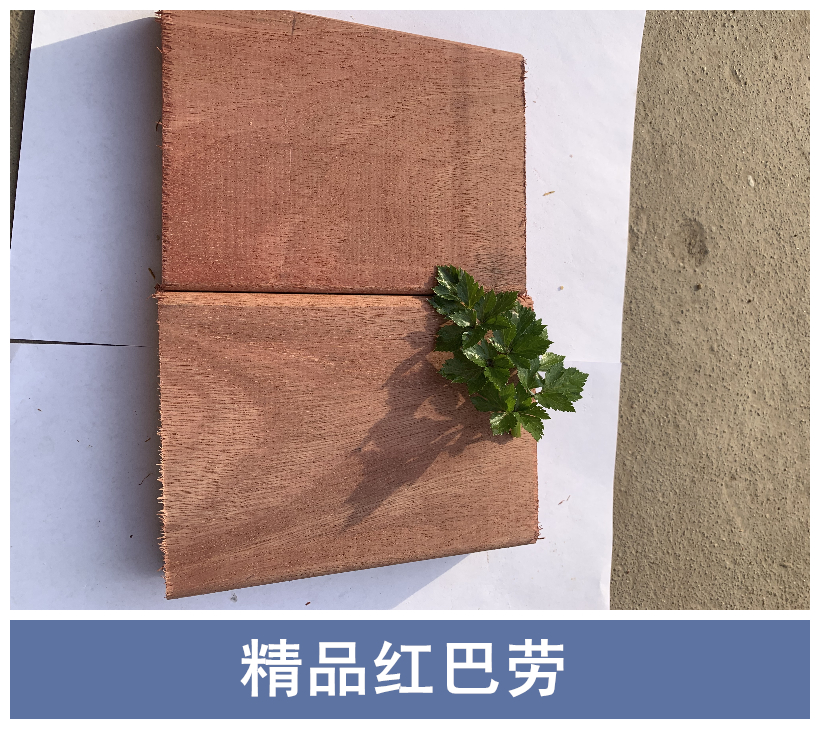 張家港*紅巴勞廠家定制加工