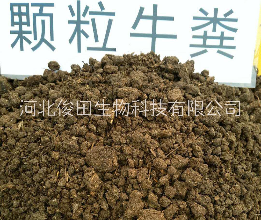 羊糞有機(jī)肥圖片/羊糞有機(jī)肥樣板圖 (2)