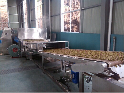 玫瑰花微波烘干設(shè)備