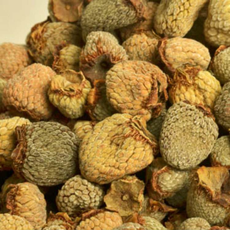 紅樹(shù)莓圖片/紅樹(shù)莓樣板圖 (4)