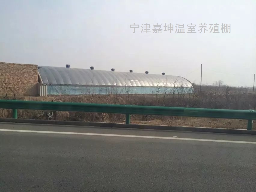 養(yǎng)殖大棚圖片/養(yǎng)殖大棚樣板圖 (2)