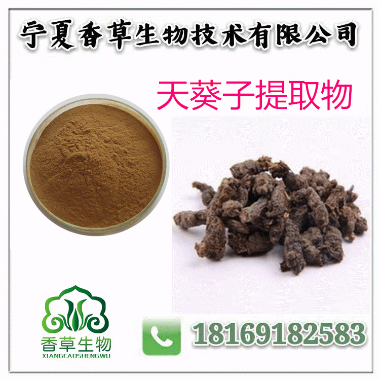 天葵子提取物供應(yīng)商/天葵根純粉價格
