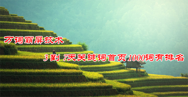 實(shí)體店圖片/實(shí)體店樣板圖 (3)