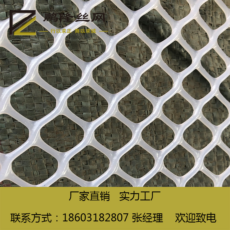 塑料平網(wǎng)圖片